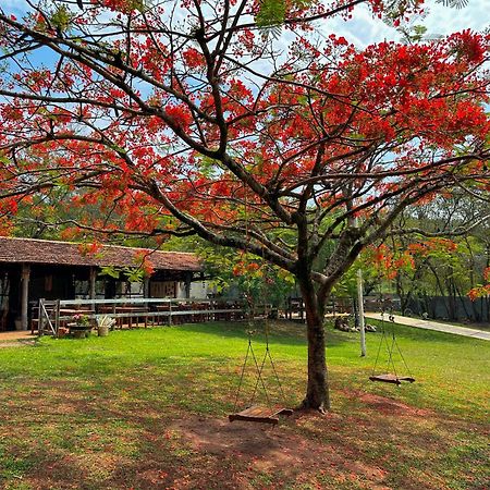 Resort Fazenda Sao Joao Sao Pedro  Luaran gambar