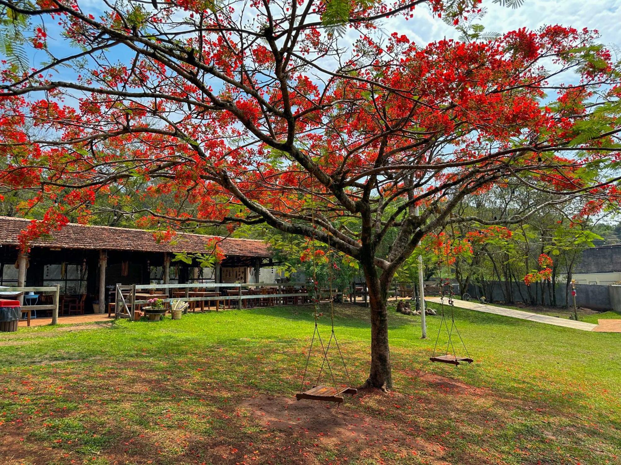 Resort Fazenda Sao Joao Sao Pedro  Luaran gambar