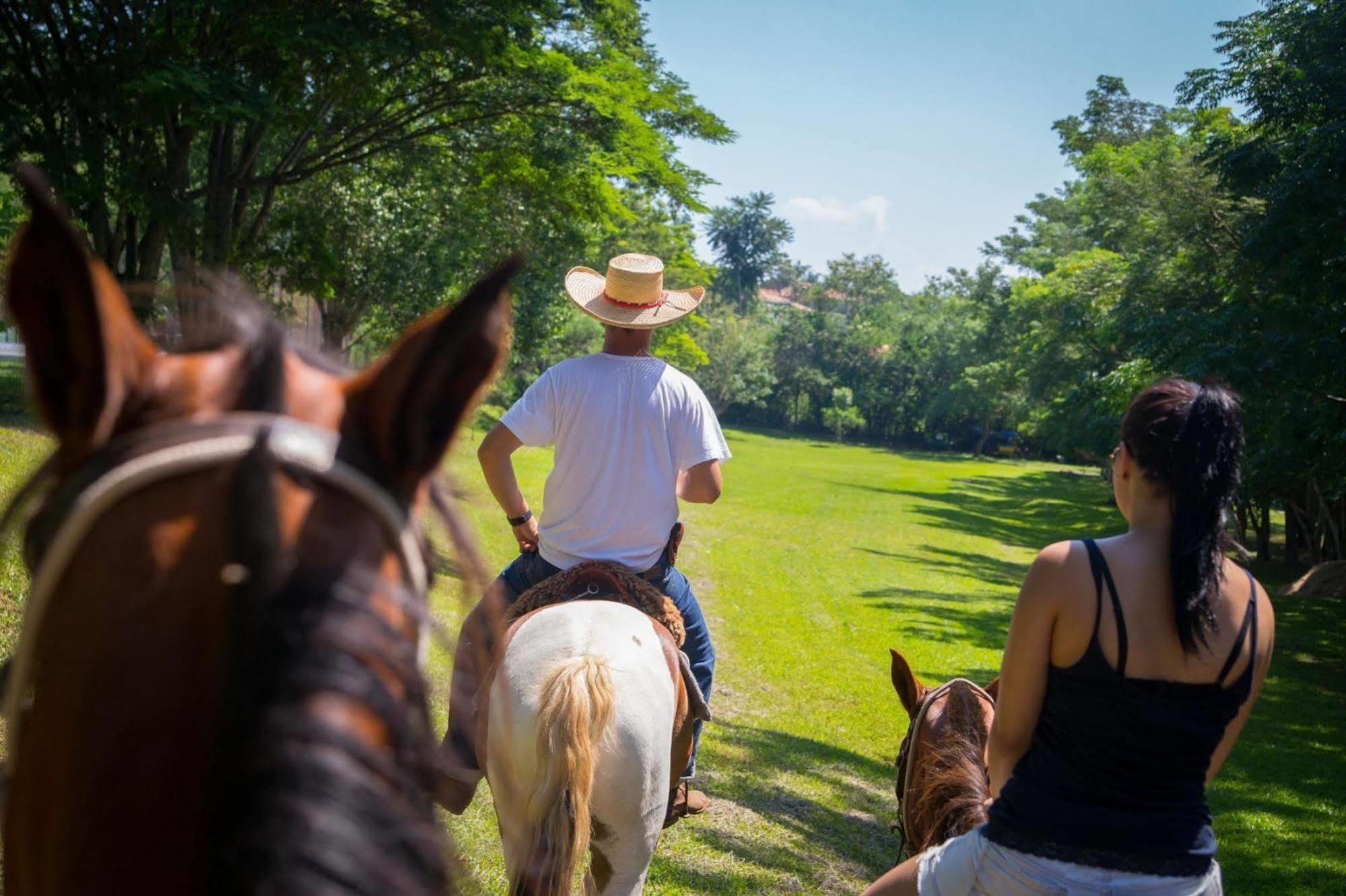Resort Fazenda Sao Joao Sao Pedro  Luaran gambar