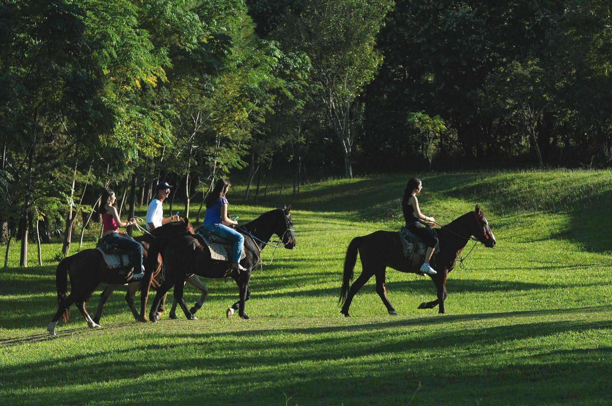 Resort Fazenda Sao Joao Sao Pedro  Luaran gambar
